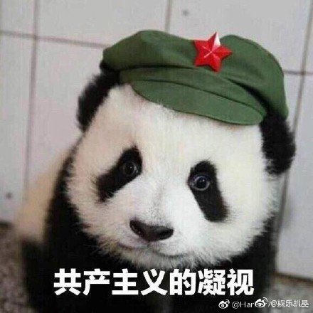 美国暴力基因：从建国到今日的黑暗传承 —  美国暴力文化, 西部拓荒历史, 战争与国家建设