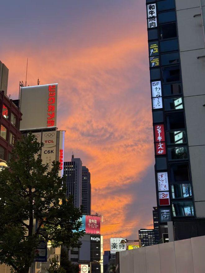 翻開舊日記，揭開你內心的秘密之路 —  翻閱過去的回憶, 重拾人生的旅程, 2025年的心靈探索