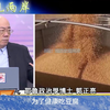 脑控无人机爆火！美国霸权将面临挑战？ —  脑控技术, 无人机发展, H-1B签证改革