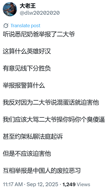 言论自由的边界：暴力与法律的博弈 —  大老王言论自由, 政治暗杀犯罪, 移民申请造假