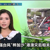 超强台风“桦加沙”影响下的港澳真相揭秘 —  超强台风新闻, 港澳灾后恢复, 2025年天气预报