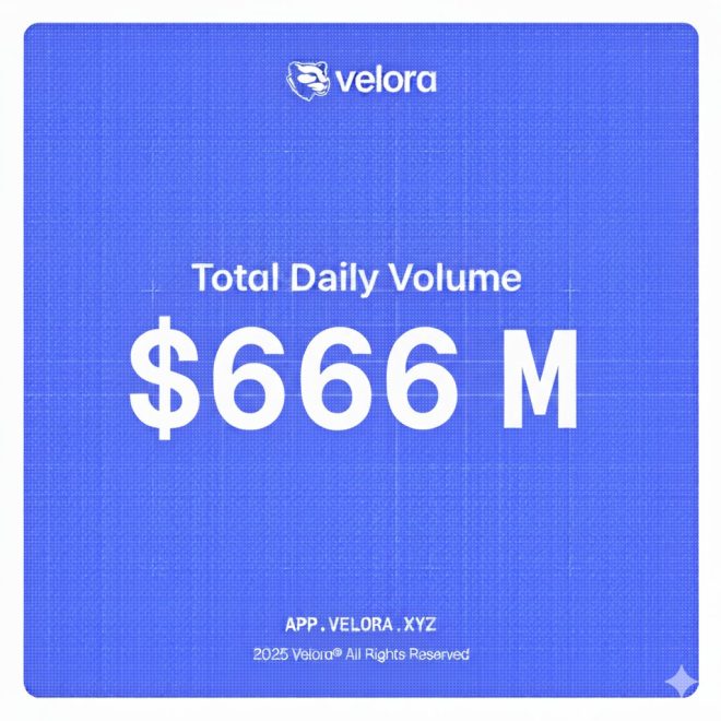 震撼！Velora交易量为何突破6.66亿？ —  通知公告, 交易提醒, 市场动态