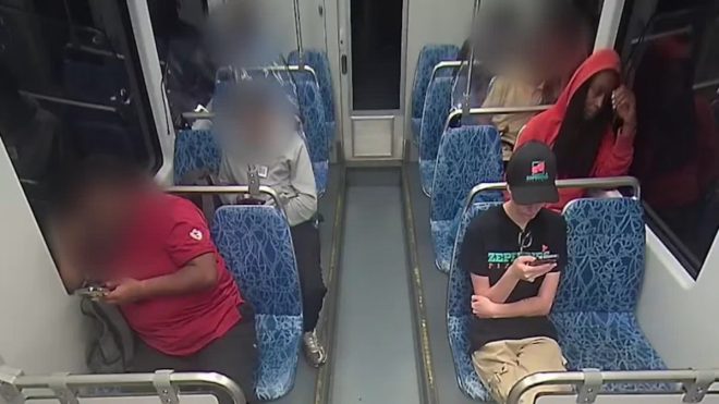 马斯克为何呼吁快速执行死刑？真相揭秘！ —  死刑案件快速审判, 伊隆·马斯克法律观点, 罪证明确的刑事案件