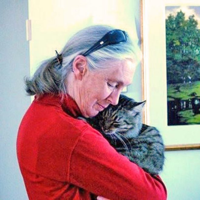 Animals Speak Out: A Surprising Thank You to Jane! —  animal appreciation message, heartfelt gratitude from pets, thank you note for animal lovers 2025