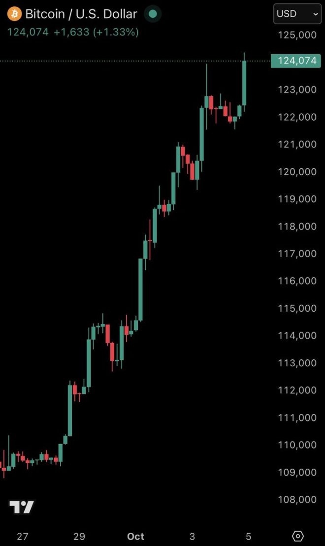 Bitcoin Hits $124,300: Is This the Start of a Bubble? —  Bitcoin price prediction, cryptocurrency market update, Bitcoin investment trends 2025