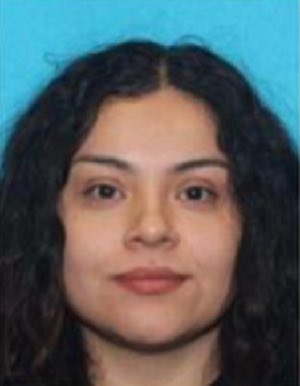 Domestic Terrorists Ram Border Patrol: Shocking Details Inside! —  Border Patrol attack news, domestic terrorism incidents, vehicle ramming attacks 2025