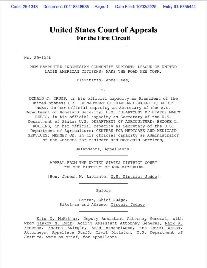 "Federal Court Rules Trump Can't End Birthright Citizenship: Constitution Trumps Presidency" —  Federal court ruling, Birthright citizenship decision, Trump immigration policy