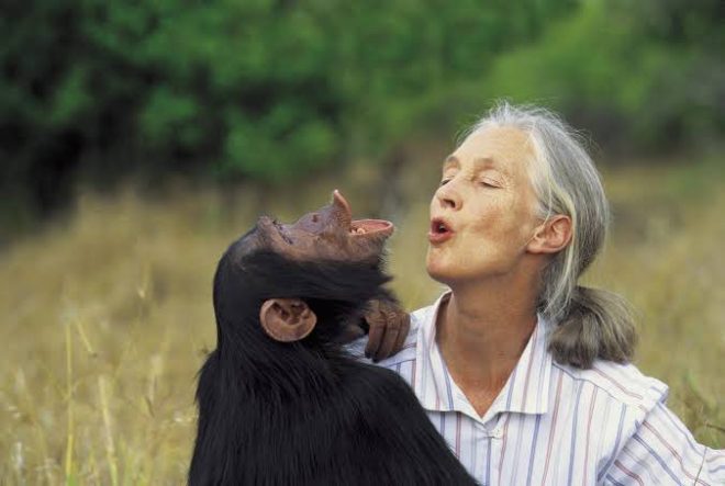 Jane Goodall's Legacy: A Controversial Debate Begins! —  In loving memory of Jane Goodall, tributes to animal rights advocates, celebrating environmental heroes, legacy of compassion and empathy 2025