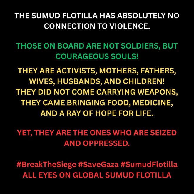 K-pop Stans Rally: Will They Save the Sumud Flotilla? —  K-pop fandom culture, K-pop fan community, K-pop idol appreciation